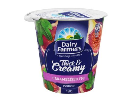 Dairy Farmers Thick & Creamy Caramelised Fig Yoghurt 150g Online Sale