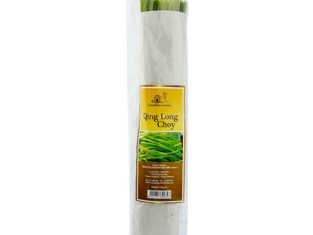 Cameron Garden Green Dragon Sprout Qing Long Choy (Chinese Chives) (Malaysia) 150g Online Hot Sale