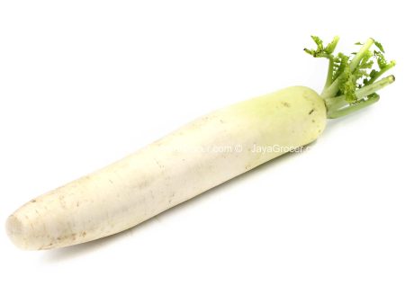 White Radish (Lobak Putih) Online Sale