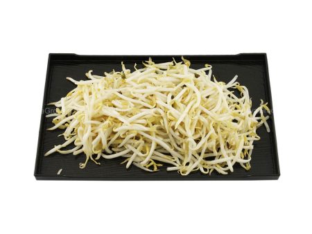 Bean Sprout (Taugeh) 500g Online