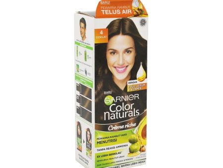 GARNIER COLOUR NATURAL-4 BROWN Sale