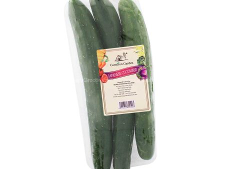 Cameron Garden Japanese Cucumber (Kyuri) (Malaysia) 3pcs pack Online