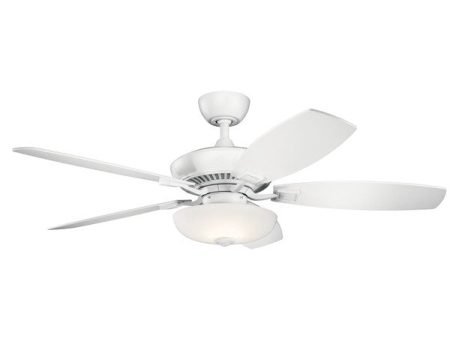 Canfield Pro Ceiling Fan Cheap