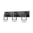 Lake of the Woods Vanity Light Online Hot Sale