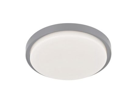 Bailey Outdoor Ceiling Light on Sale