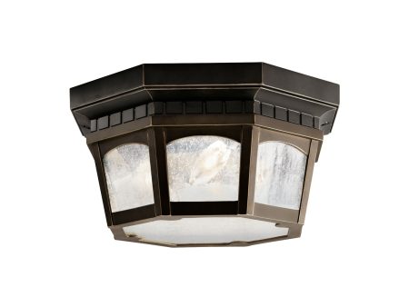 Courtyard Outdoor Ceiling Light on Sale