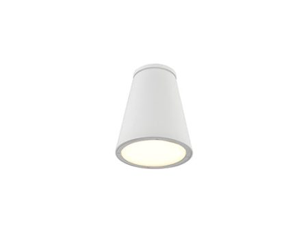 Hartford Outdoor Ceiling Light For Discount