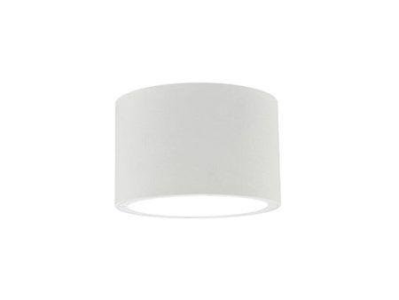 Lamar Outdoor Ceiling Light For Discount