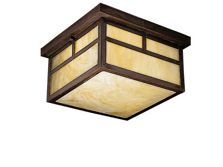 Alameda Outdoor Ceiling Light Online Hot Sale