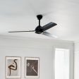 Todo Ceiling Fan Fashion