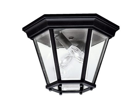 Madison Outdoor Ceiling Light on Sale