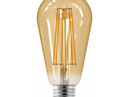 ST19 LED Filament Bulb Sale