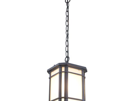 Cardiff Outdoor Pendant Discount